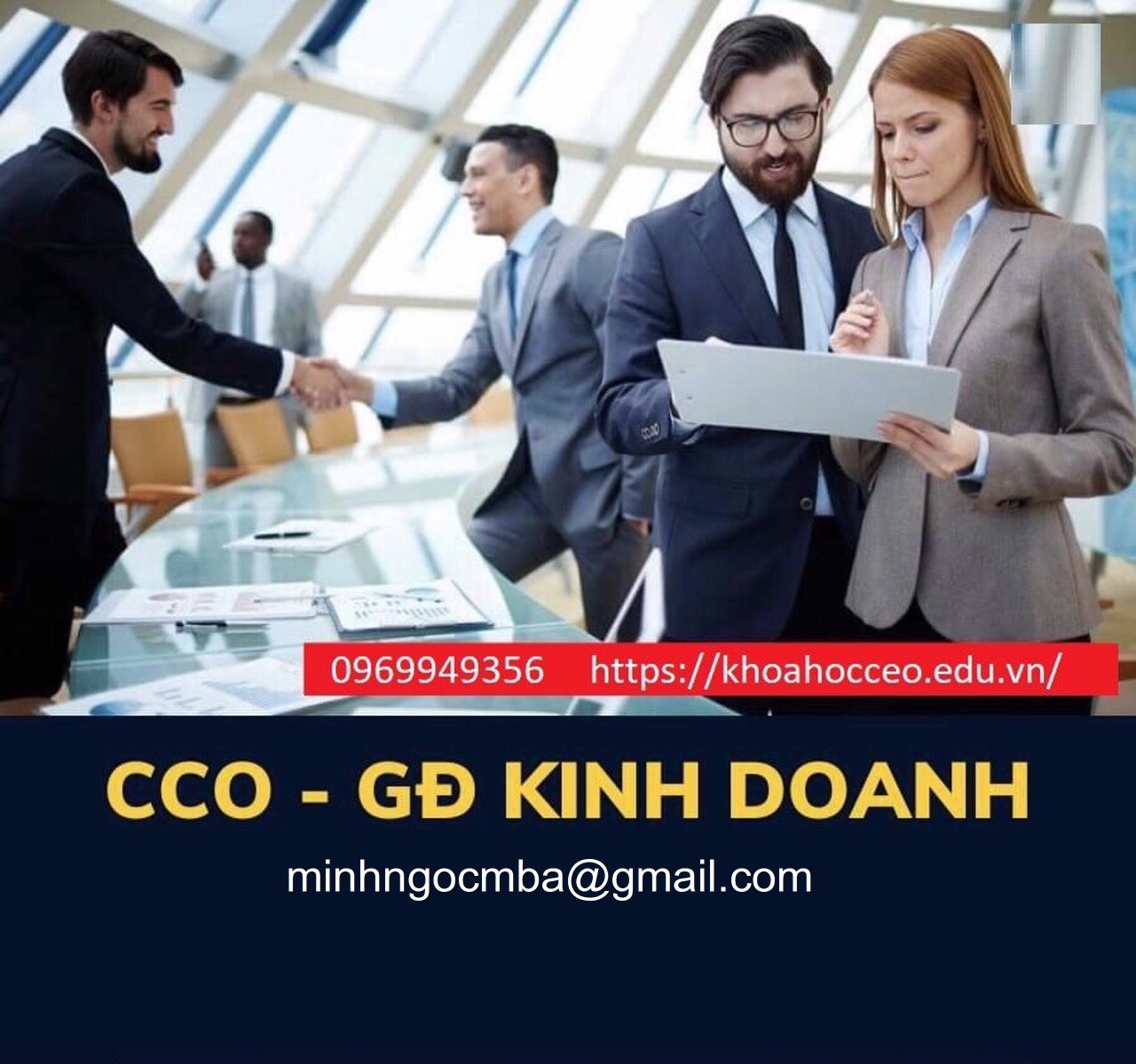 cco-giam-doc-kinh-doanh