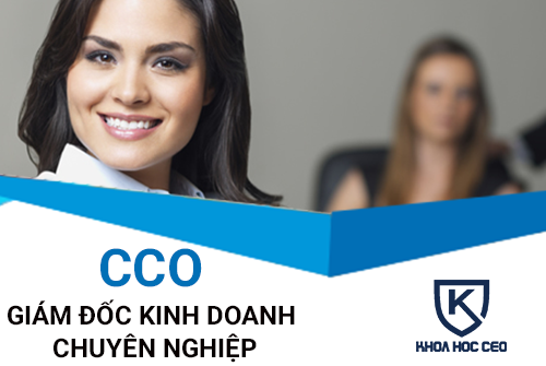 cco-giam-doc-kinh-doanh-chuyen-nghiep