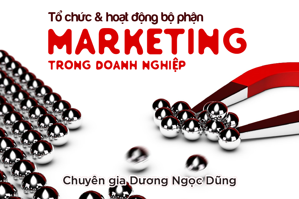 Tổ chức & hoạt động bộ phận Marketing trong doanh nghiệp