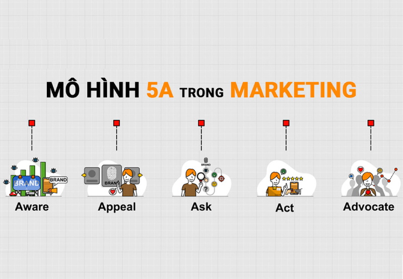 mo-hinh-5a-giup-phan-tich-hanh-vi-khach-hang-hieu-qua-trong-marketing